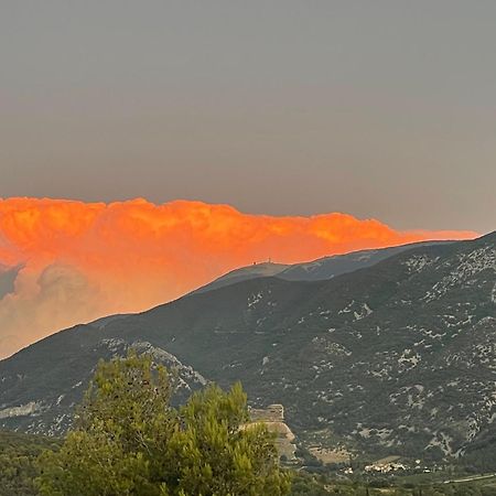 شقة Les Terrasses Du Ventoux Mollans-sur-Ouvèze المظهر الخارجي الصورة